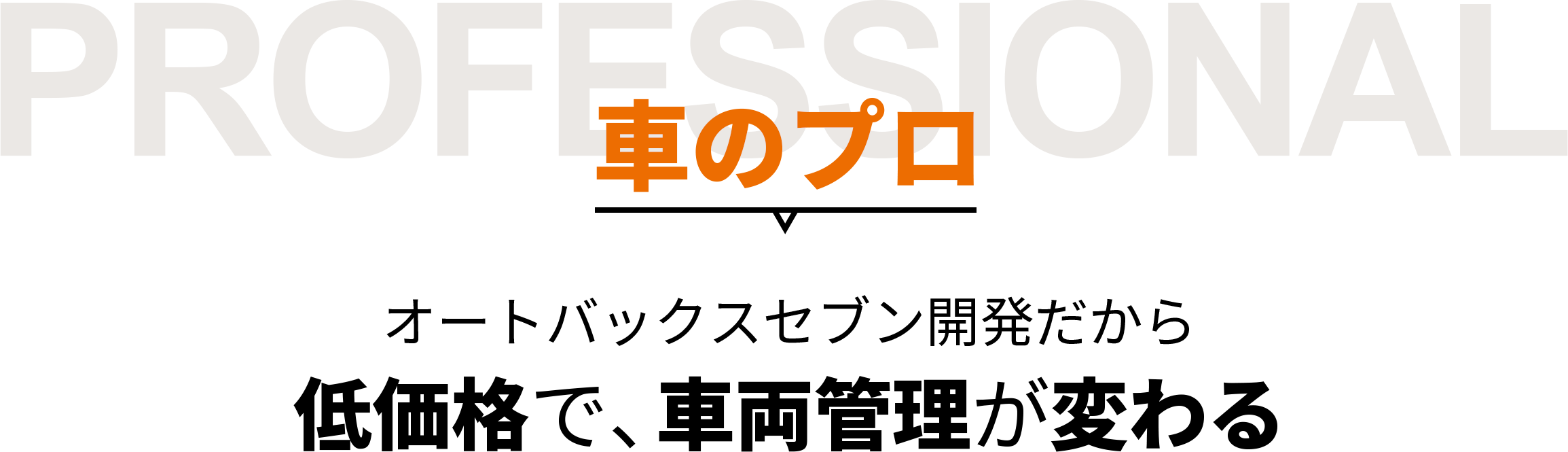 PROFESSIONAL 車のプロ オートバックスセブン開発だから低価格で、車両管理が変わる