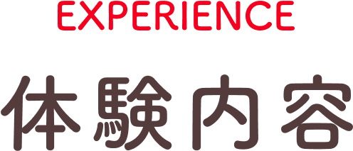 体験内容