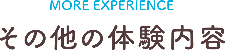 その他の体験内容